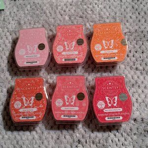Scentsy Spring Summer 6 Bar bundle